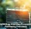 The Cybersecurity Blind Spot in Every SMB Office