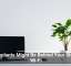 Houseplants Might Be Behind Your Sluggish Wi-Fi